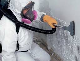 Best Crawl Space Mold Remediation  in Fountain Inn, SC